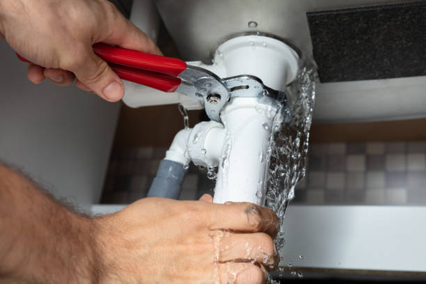 Best Water damage mitigation services  in Mckenzie, TN