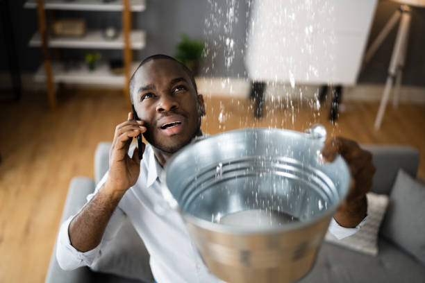 Best Water damage restoration near me  in Mckenzie, TN