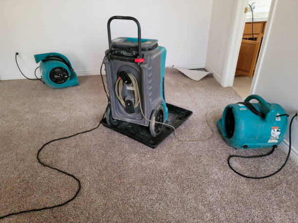 Best Flood restoration services  in Mckenzie, TN