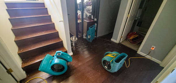 Best Commercial water damage restoration  in Mckenzie, TN