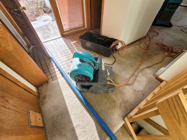  Mckenzie, TN Water damage restoration Pros