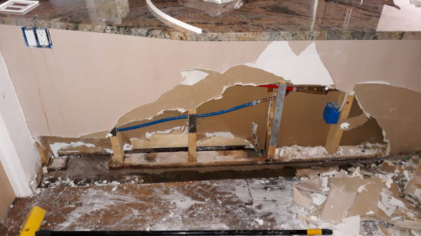 Best Water damage contractors near me  in Mckenzie, TN