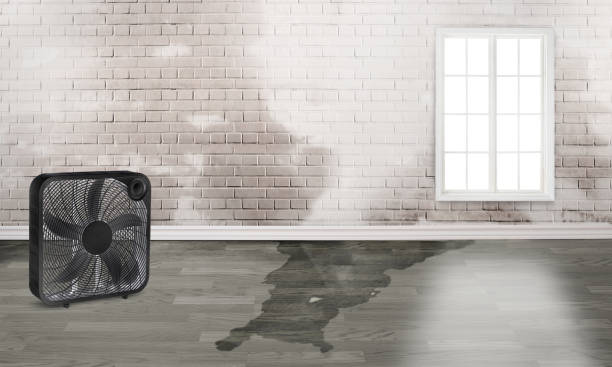 Professional Water damage restoration in Mckenzie, TN