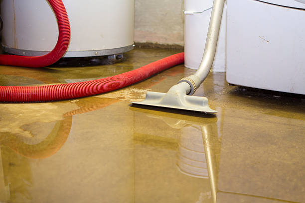 Best Flood restoration services  in Mckenzie, TN