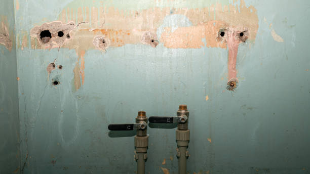 Best Water damage restoration experts  in Mckenzie, TN