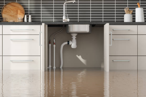 Best Water damage restoration near me  in Mckenzie, TN